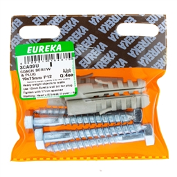 3CA09 - Coach Screw & Plug